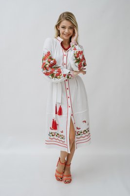 Жіноча вишита сукня Galych Килина білий 47338 (S) 47338 фото