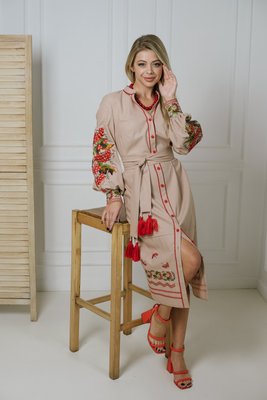 Жіноча вишита сукня Galych Килина бежевий 432221 (S) 432221 фото
