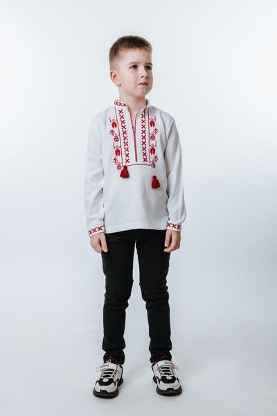 Вишиванка для хлопчиків V.L. Символіка білий 210494193-001 (110 см) 210494193-001 фото